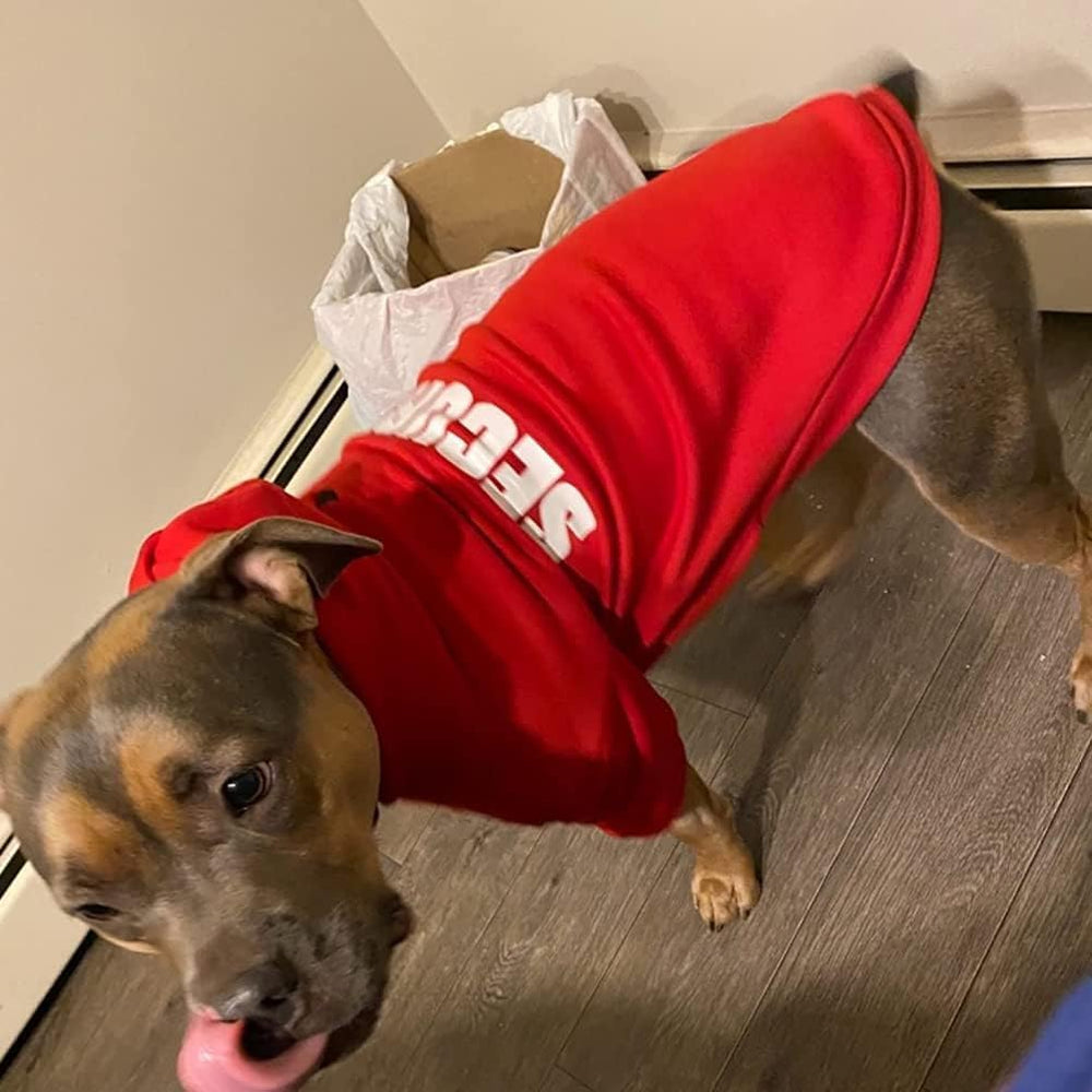 BINGPET security dog hoodie size chart image, roomy options for comfort.