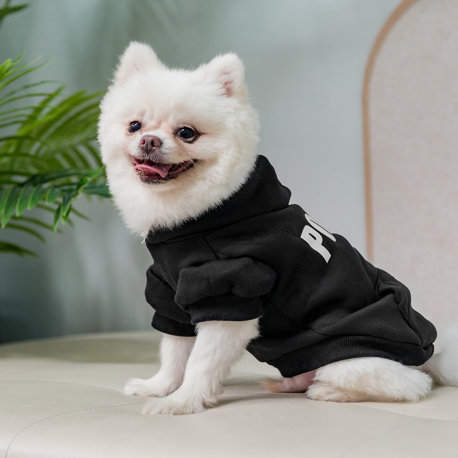 BINGPET Size Chart Dog Hoodie helps owners pick a comfy loose fit