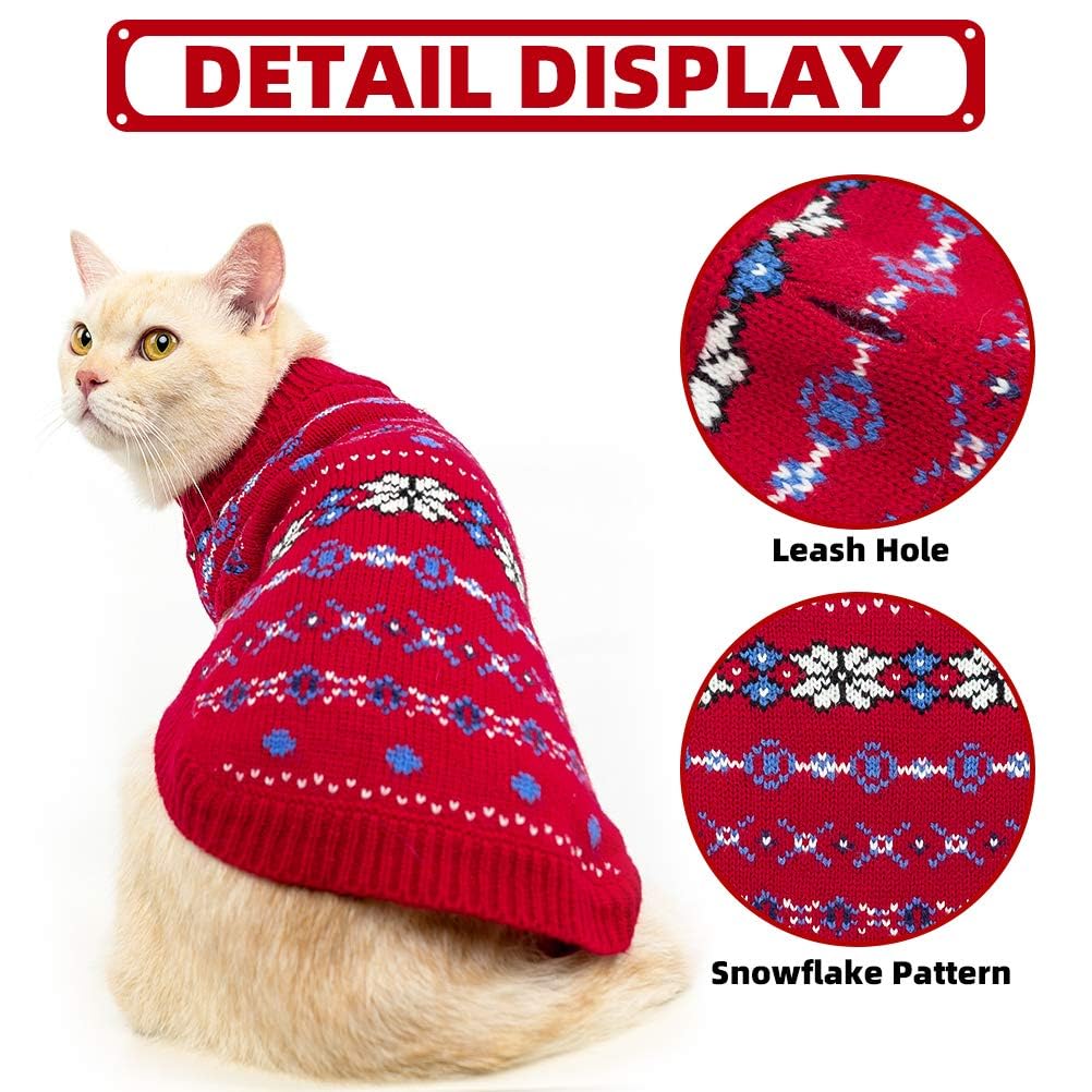 BINGPET size M measurement guide showing neck, chest, and length
