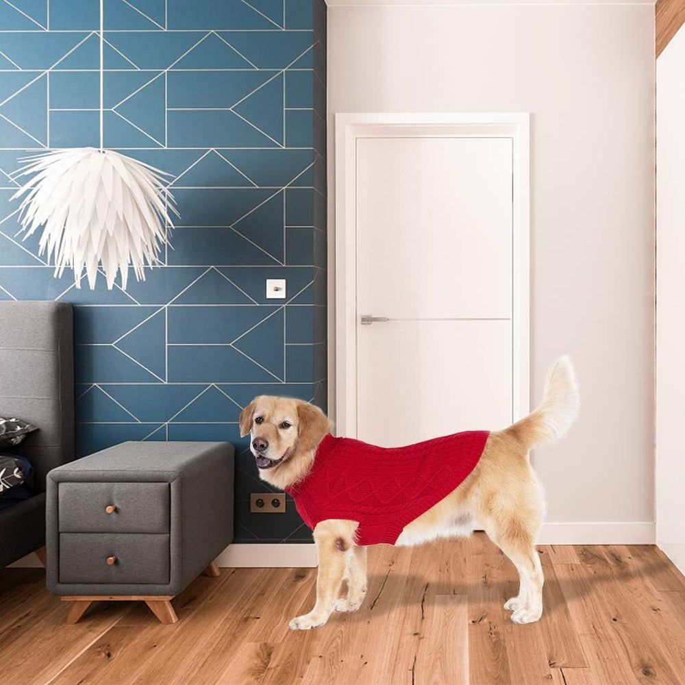 BINGPET soft stretchy acrylic yarn image showcases comfort and freedom during chilly strolls.