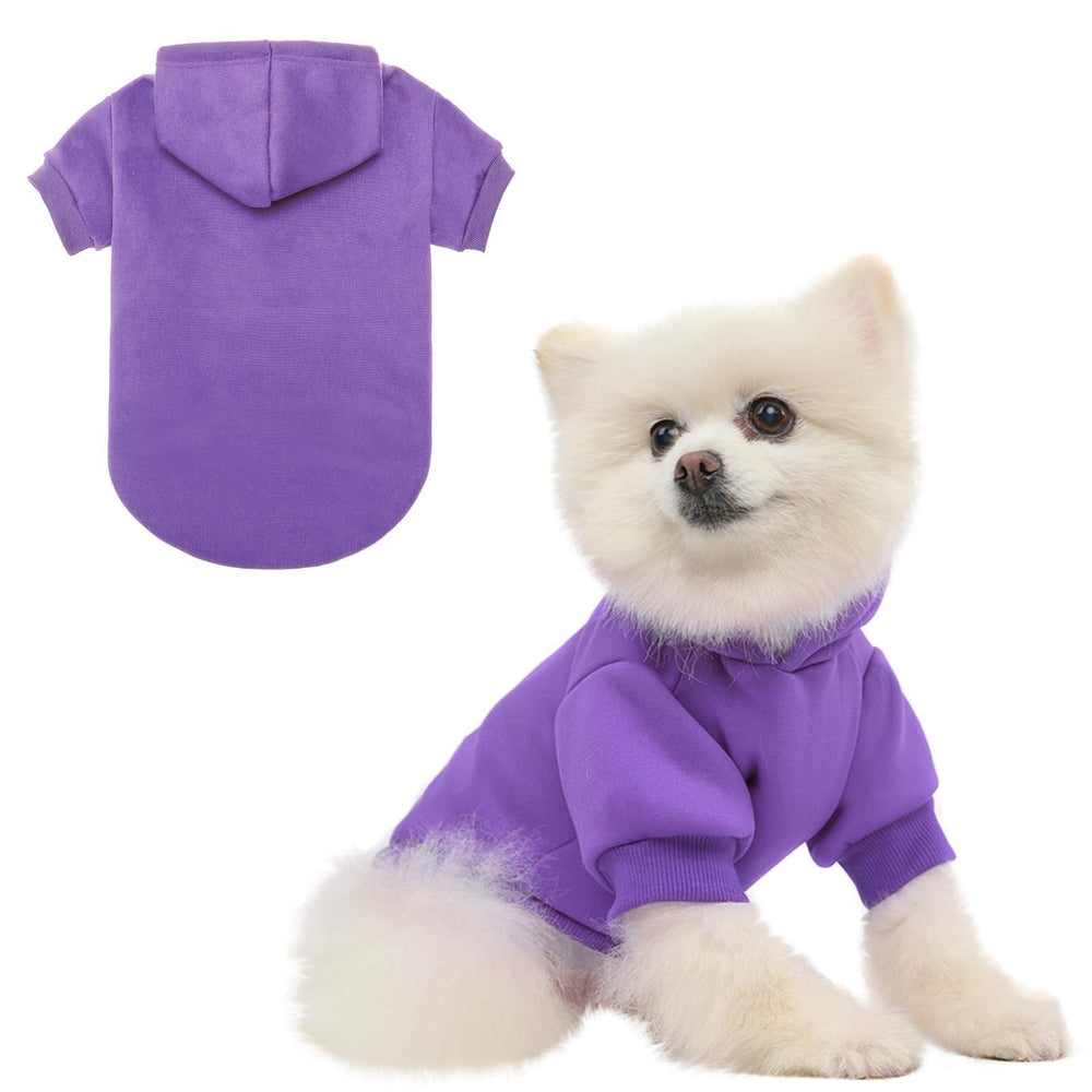 Sudadera BINGPET con capucha y forro polar frente: ideal para paseos fríos.