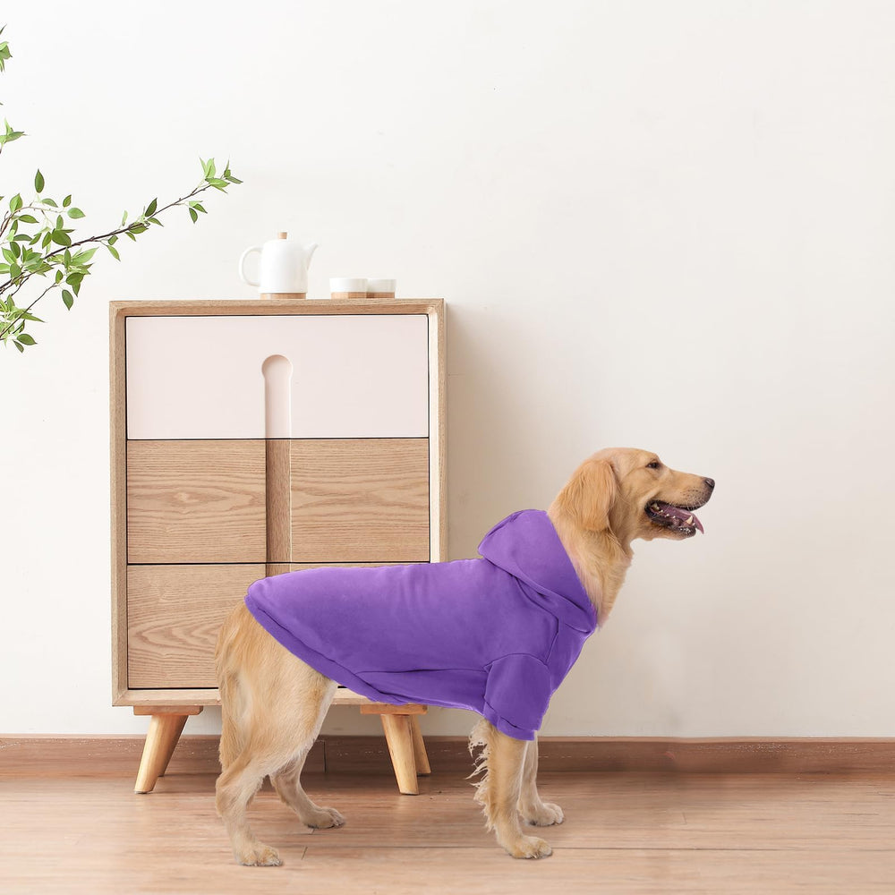 Uso diario con capucha BINGPET, ideal para paseos y descanso
