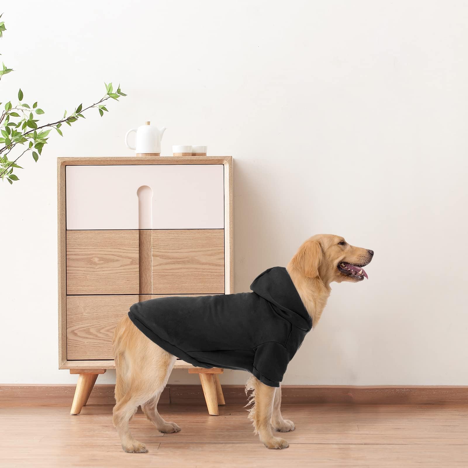 BINGPET sudadera con diseño estiloso, perfecto para paseos diarios.