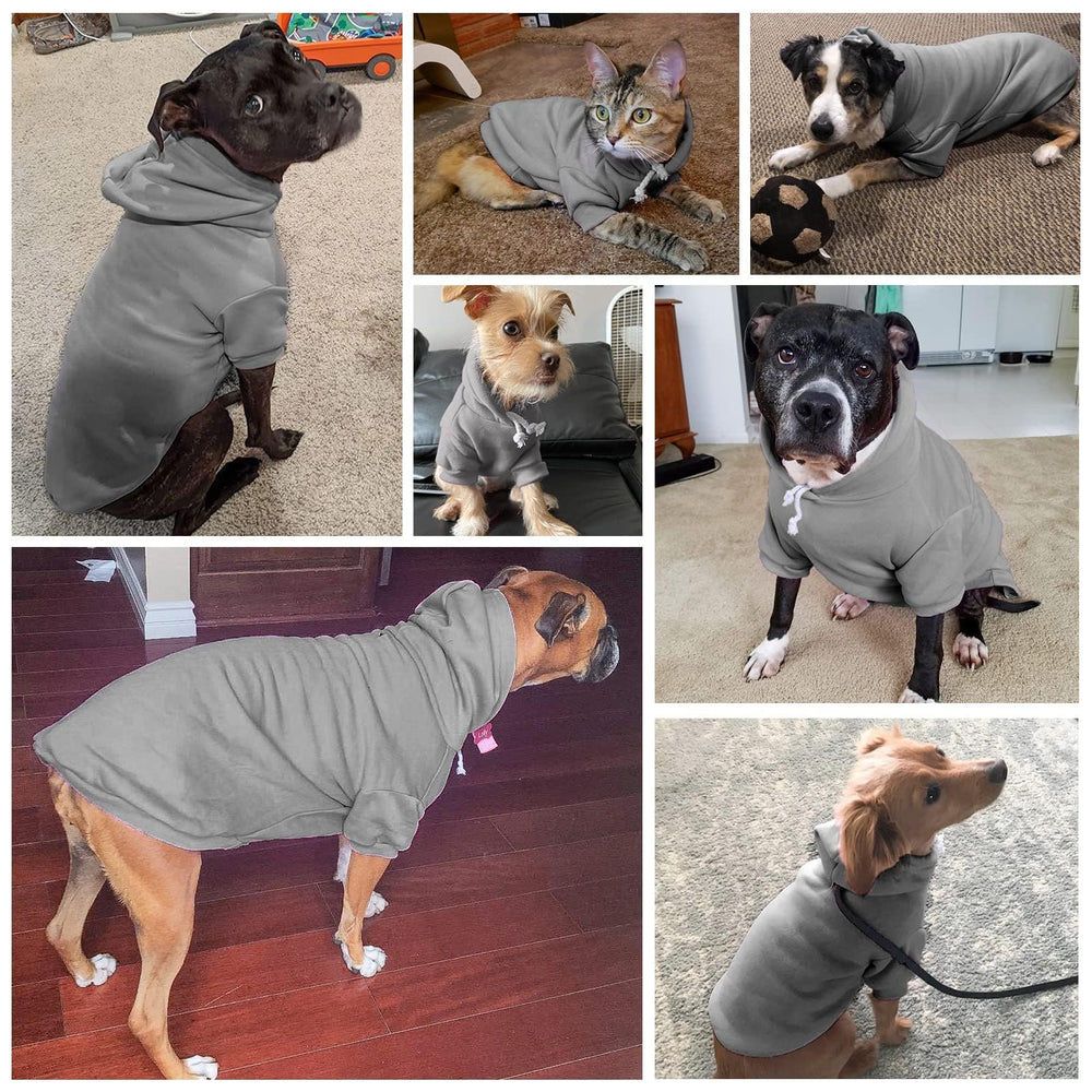BINGPET sudadera para perro, guía de tallas detallada para ajuste ideal.