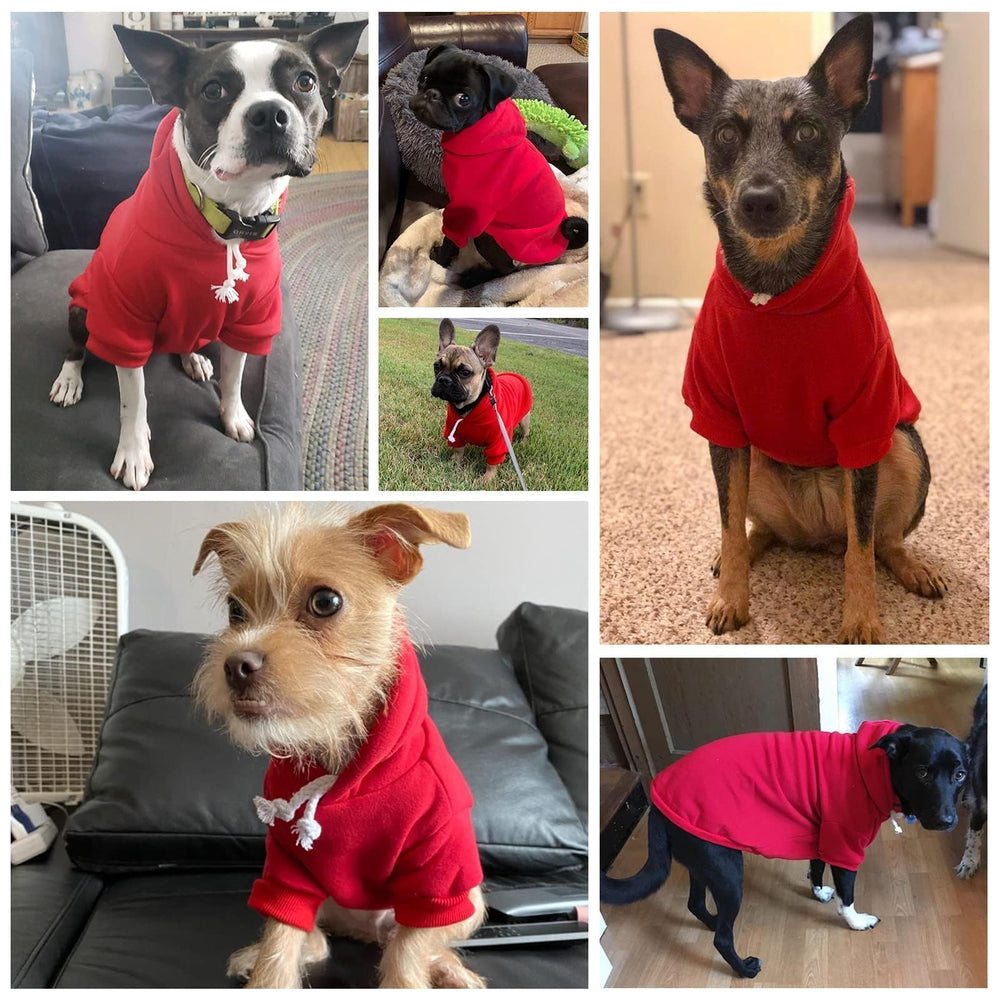 BINGPET sudadera de múltiples tallas, ajuste cómodo en seis tallas.