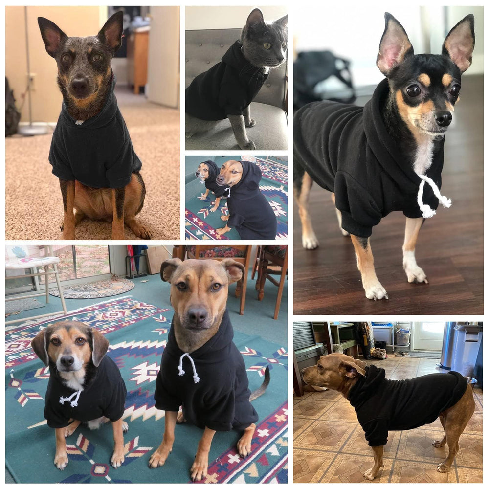BINGPET sudadera de invierno para perros, uso diario cómodo.