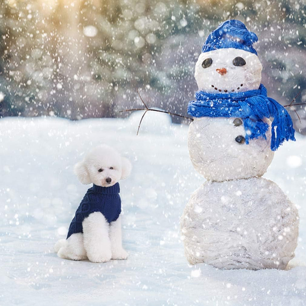 BINGPET wearing-on-dog outdoor walk demonstrates practical warmth in winter