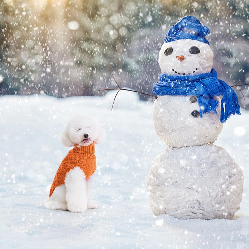 BINGPET thermal knitted dog sweater outdoor-walk wear for cold-weather protection