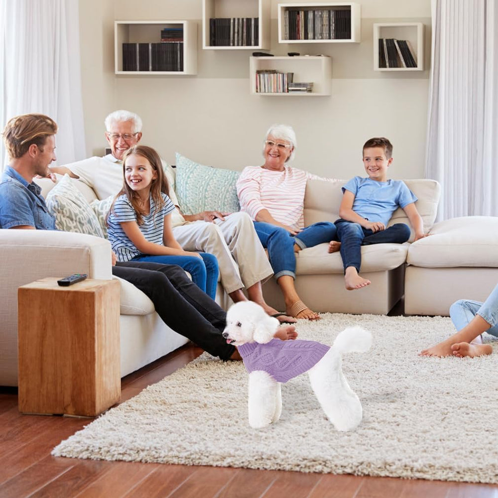 BINGPET thermal knitted dog sweater soft stretchy fabric enables comfortable movement in chilly weather.