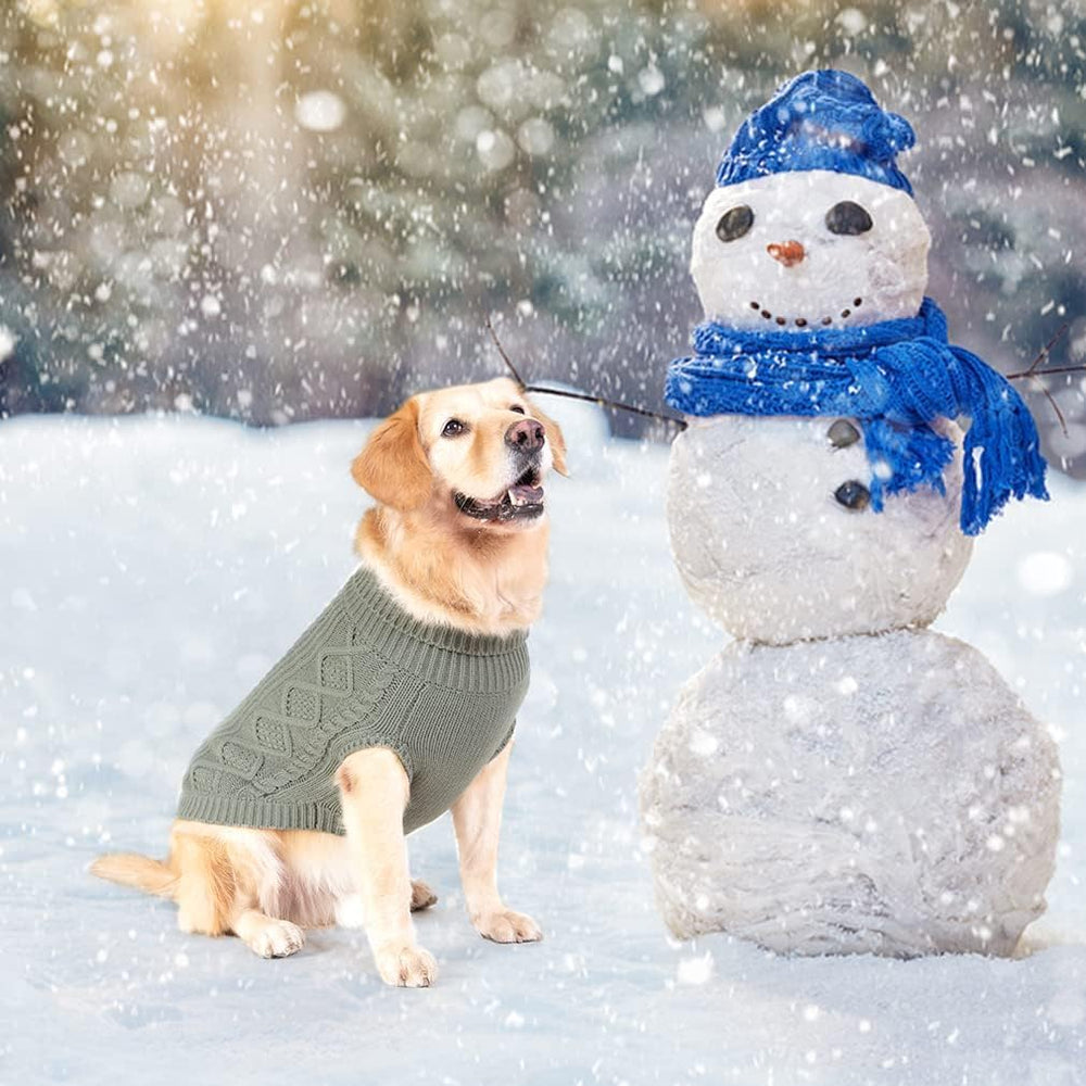 BINGPET Thermal Knitted Dog Sweater wear-and-go walk scene shows versatile winter outfit.