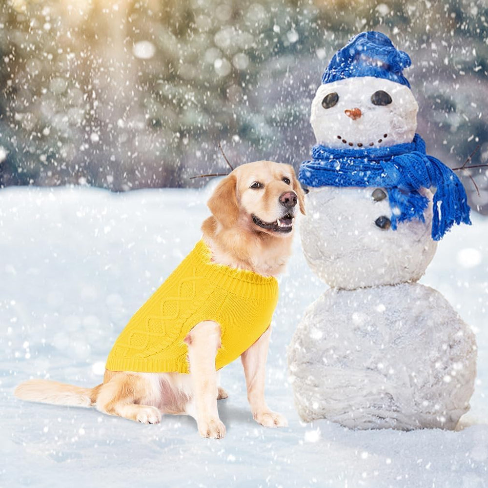 BINGPET thermal knitted dog sweater ready-for-walks outfit promotes cozy everyday adventures.