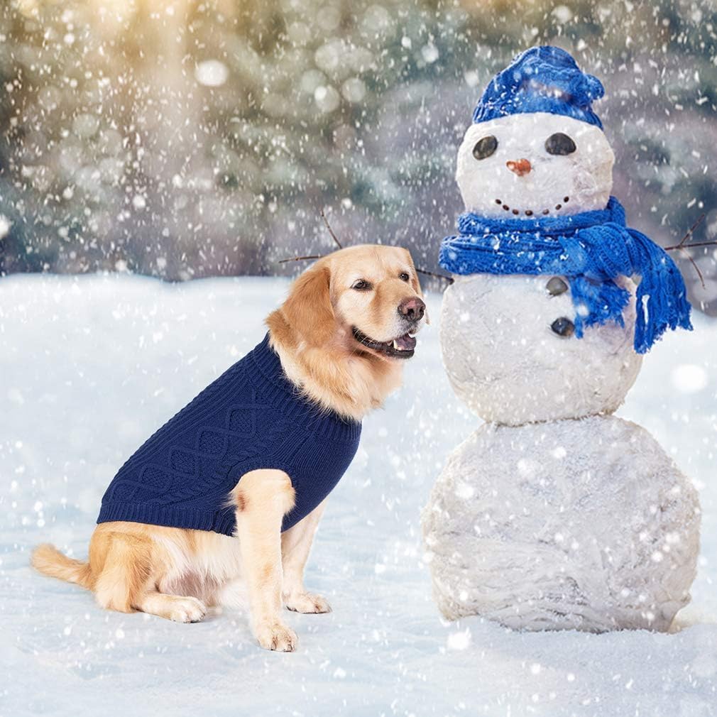 BINGPET thermal knitted dog sweater walk-ready view showing easy daily use.
