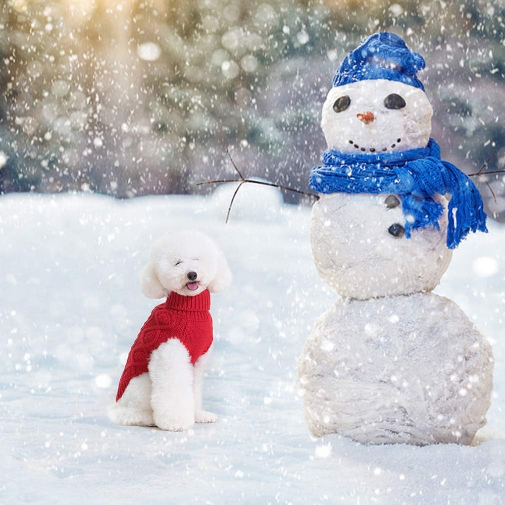 BINGPET Thermal Knitted Dog Sweater on model during a brisk stroll
