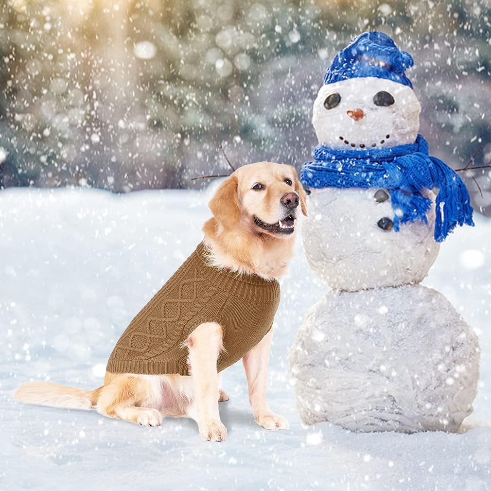 BINGPET winter-ready outdoor scene shows sweater during a walk.