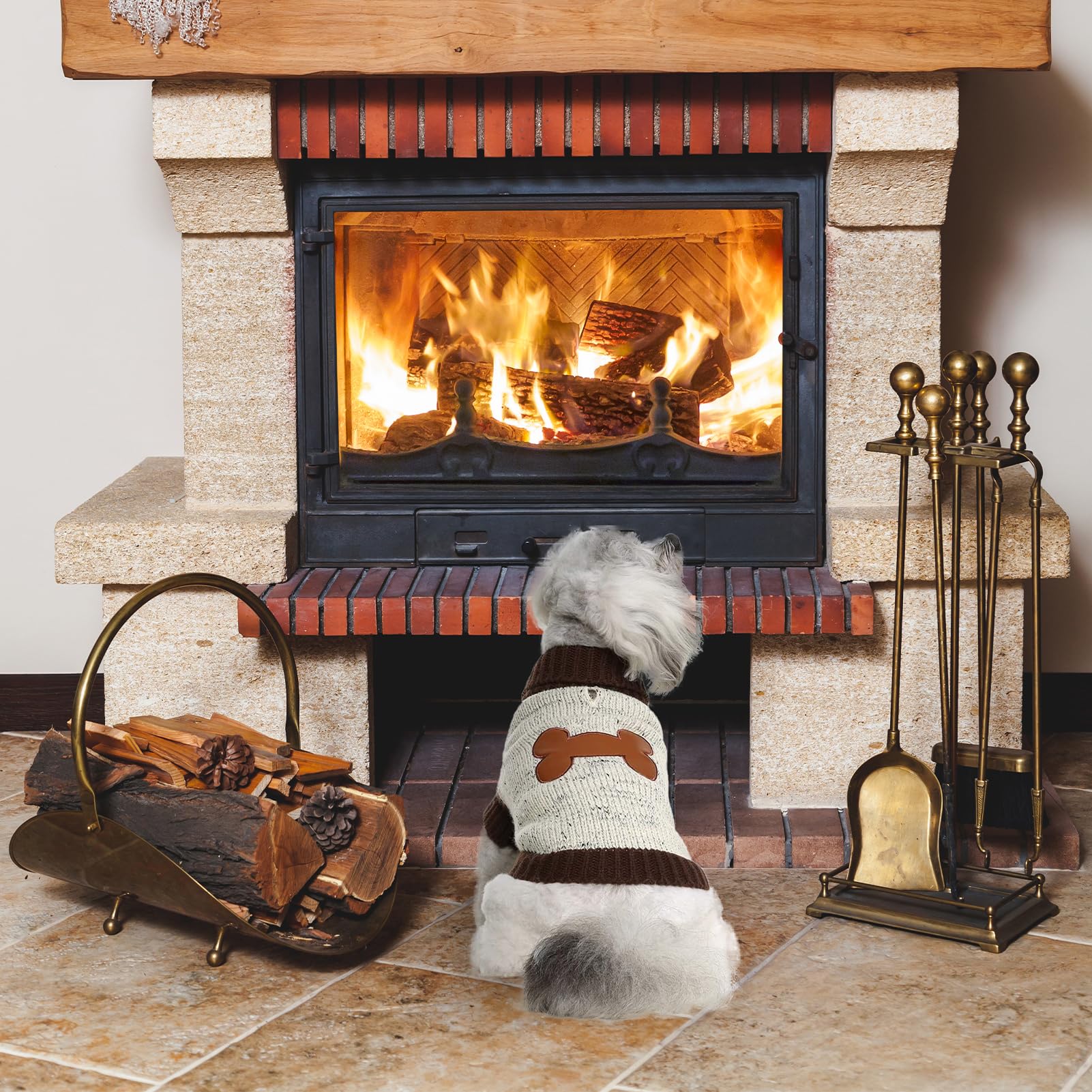 BINGPET Turtle Neck Dog Sweater worn during winter walks keeps warmth without bulk.