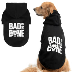 BINGPET warm dog sweater with hood provides cozy warmth for chilly walks.