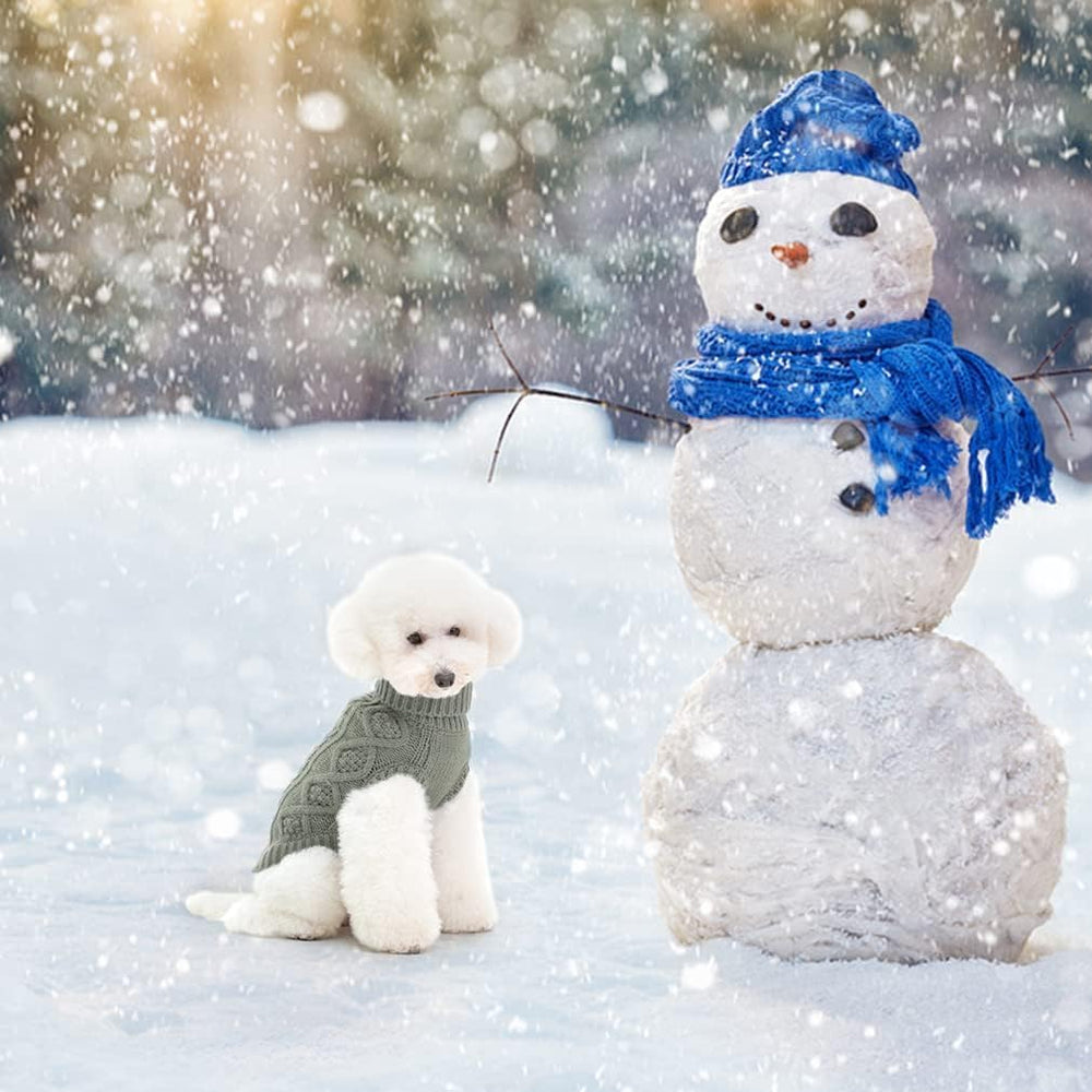 BINGPET winter dog jumper for walks or photoshoots provides warmth.
