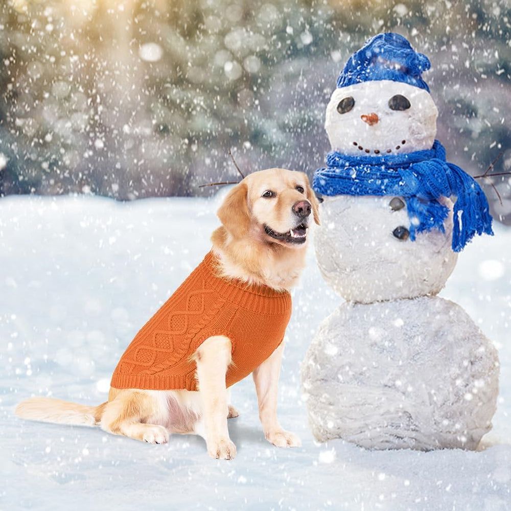 BINGPET winter dog outfit on model during a photoshoot