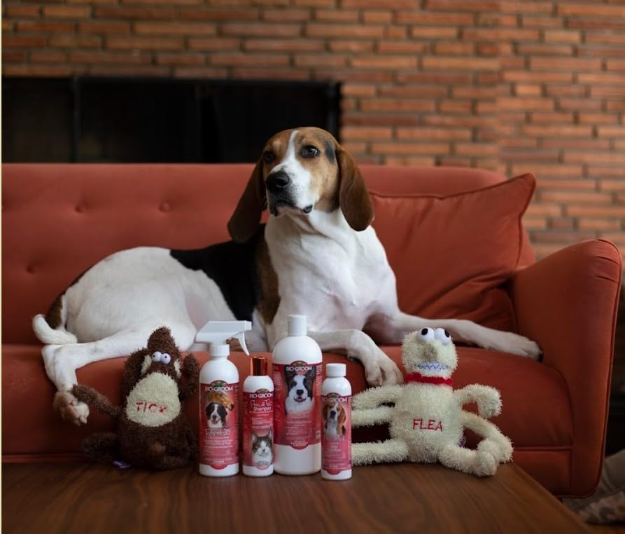 Bio-Groom cat flea shampoo foam emphasizes quick rinse and safety.