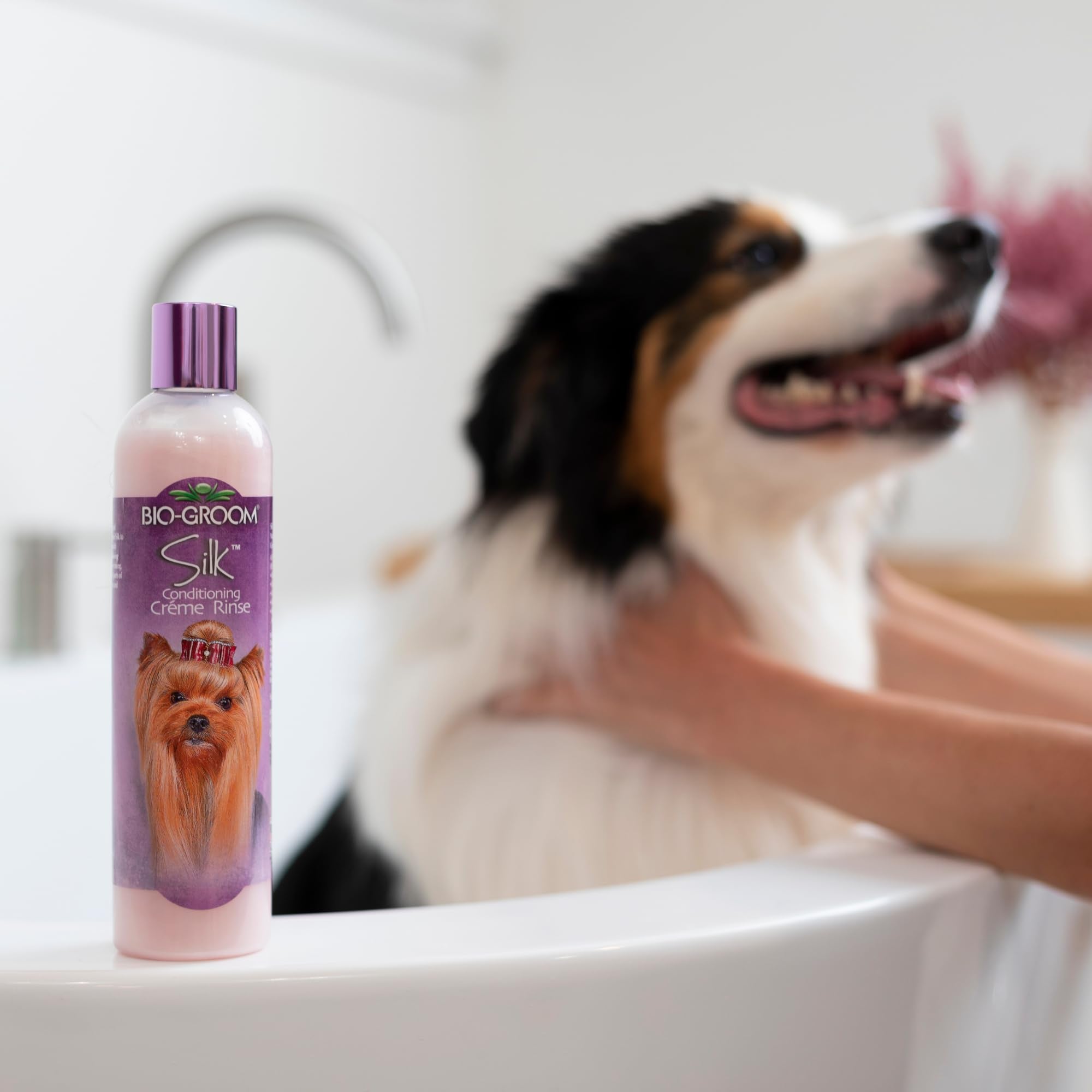 Conjunto Bio-Groom: champú y acondicionador para cuidado completo de mascotas.