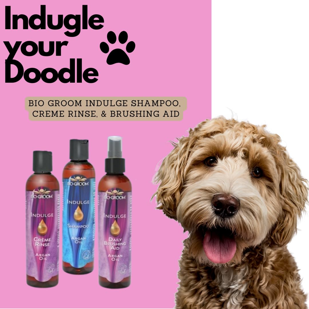 Bio-Groom Indulge Argan Oil close-up bottle foam application