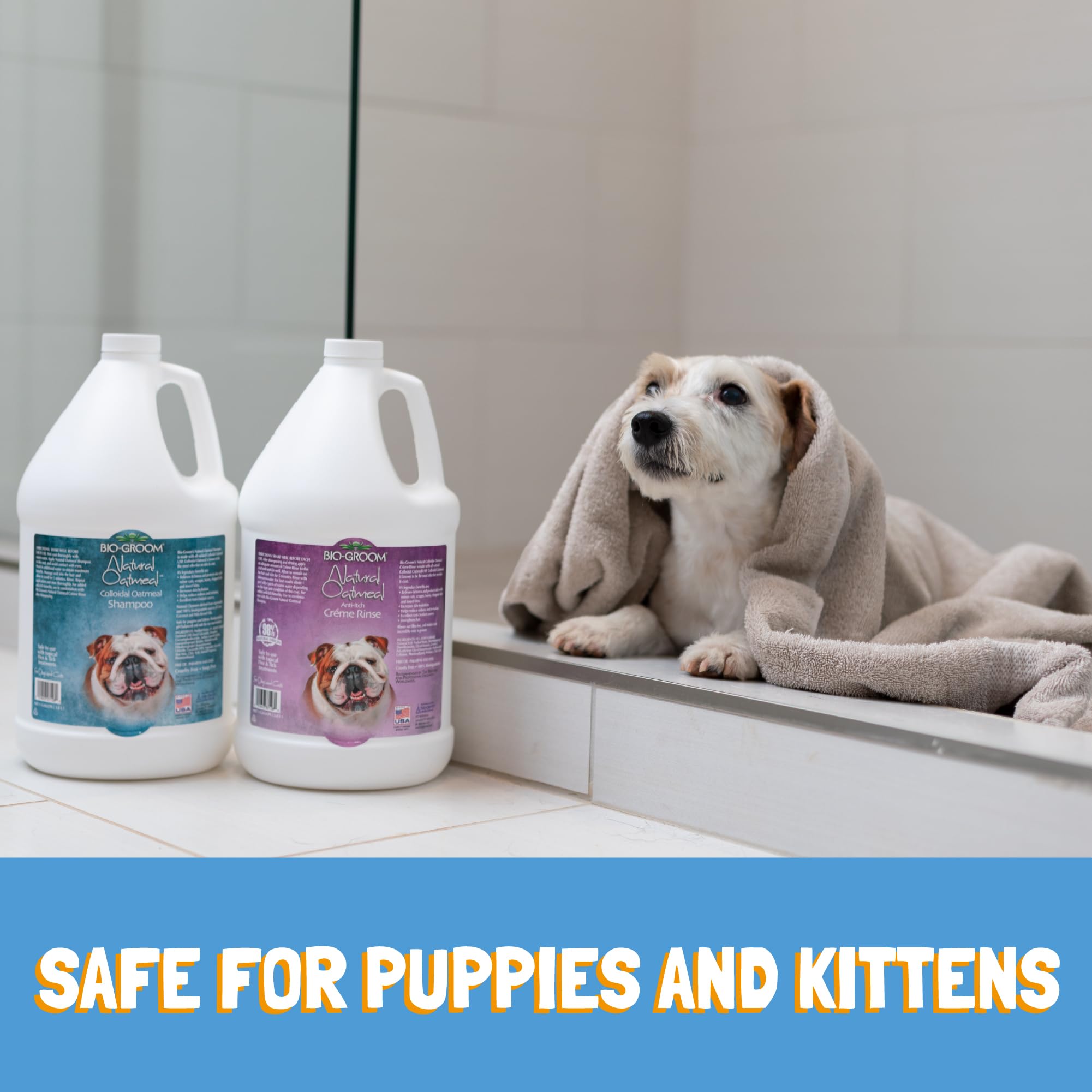 Bio-Groom Oatmeal Dog Shampoo ingredients—corn and coconut derived.