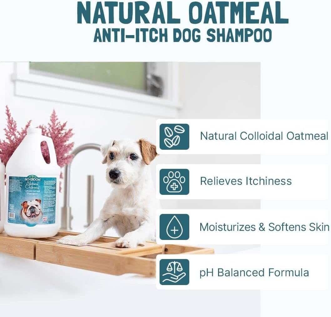 Bio-Groom Oatmeal Dog Shampoo 2-pack offers ongoing grooming care for multiple pets