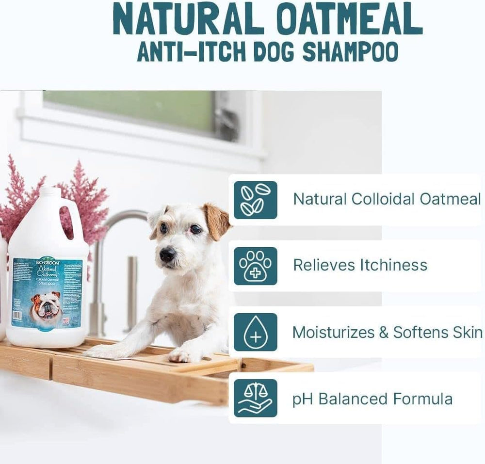 Bio-Groom Oatmeal Dog Shampoo 2-pack offers ongoing grooming care for multiple pets