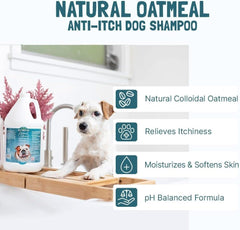 Bio-Groom Oatmeal Dog Shampoo 2-pack offers ongoing grooming care for multiple pets
