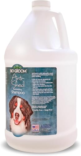 Bio-Groom odor-eliminating shampoo lather for a fresh-smelling coat.