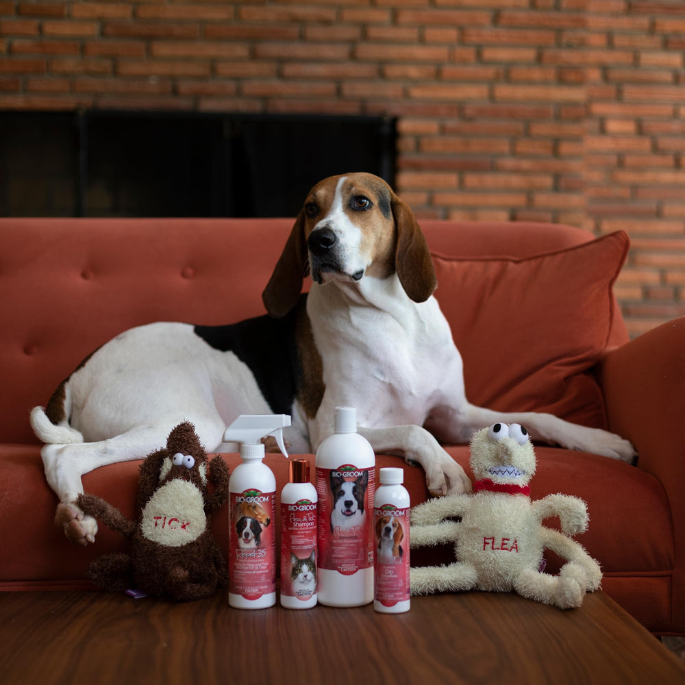 Bio-Groom shampoo used on a puppy over 12 weeks for safe flea and tick care