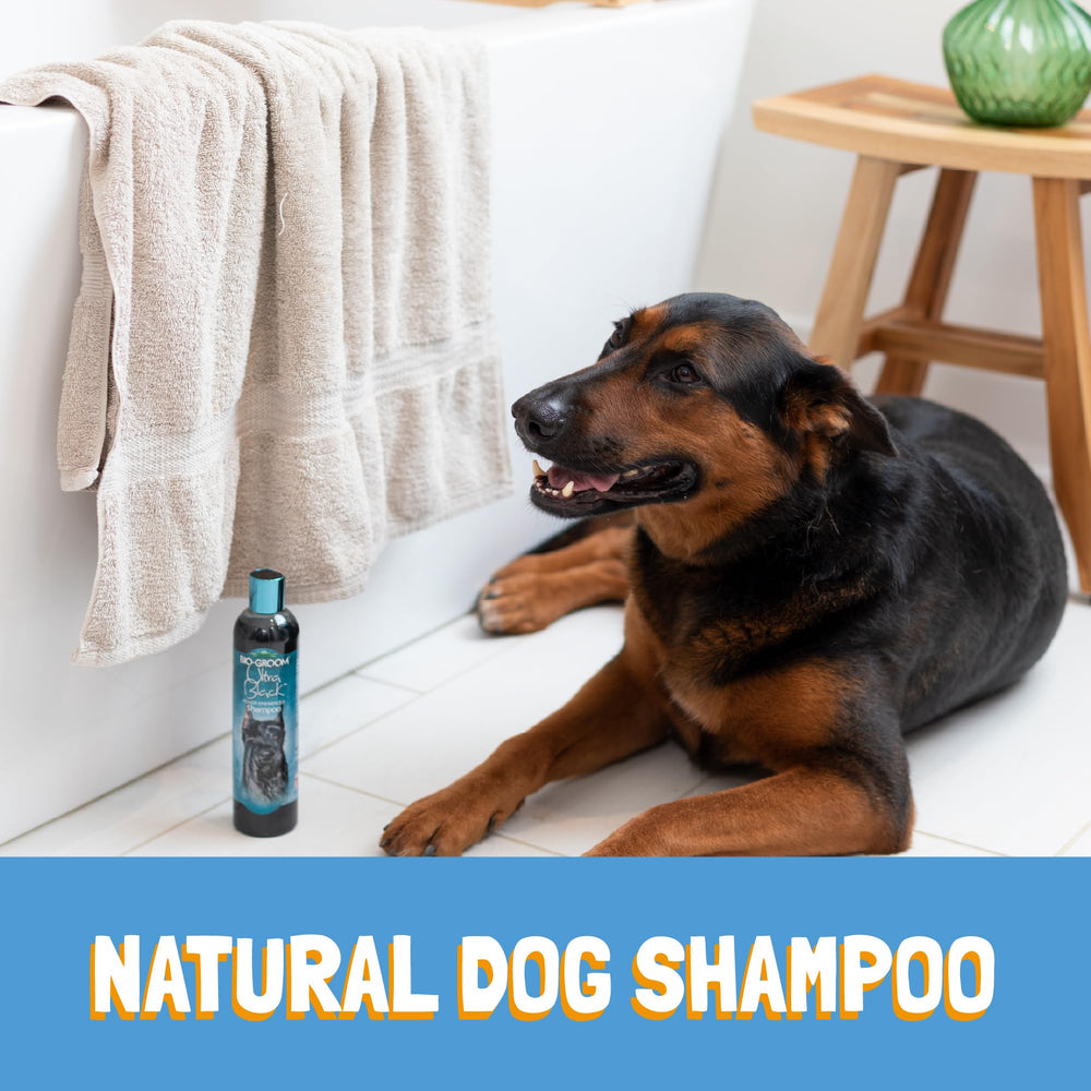 Bio-Groom Ultra-Black Shampoo gallon container for home grooming