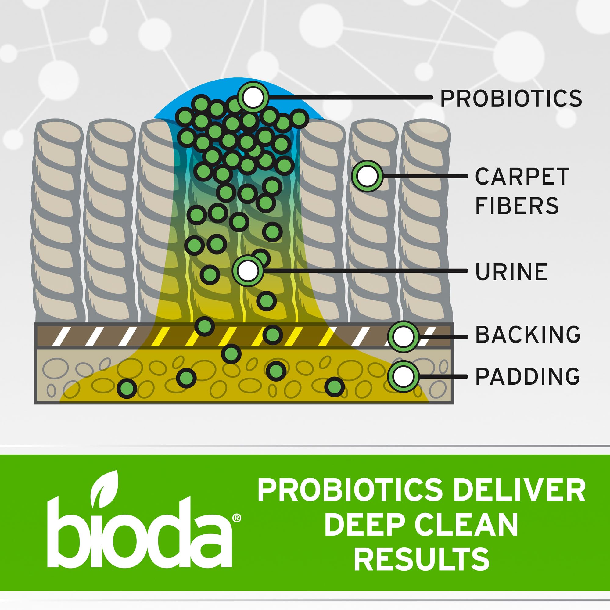 Bioda enzyme-powered odor elimination for carpet backing and padding scenarios
