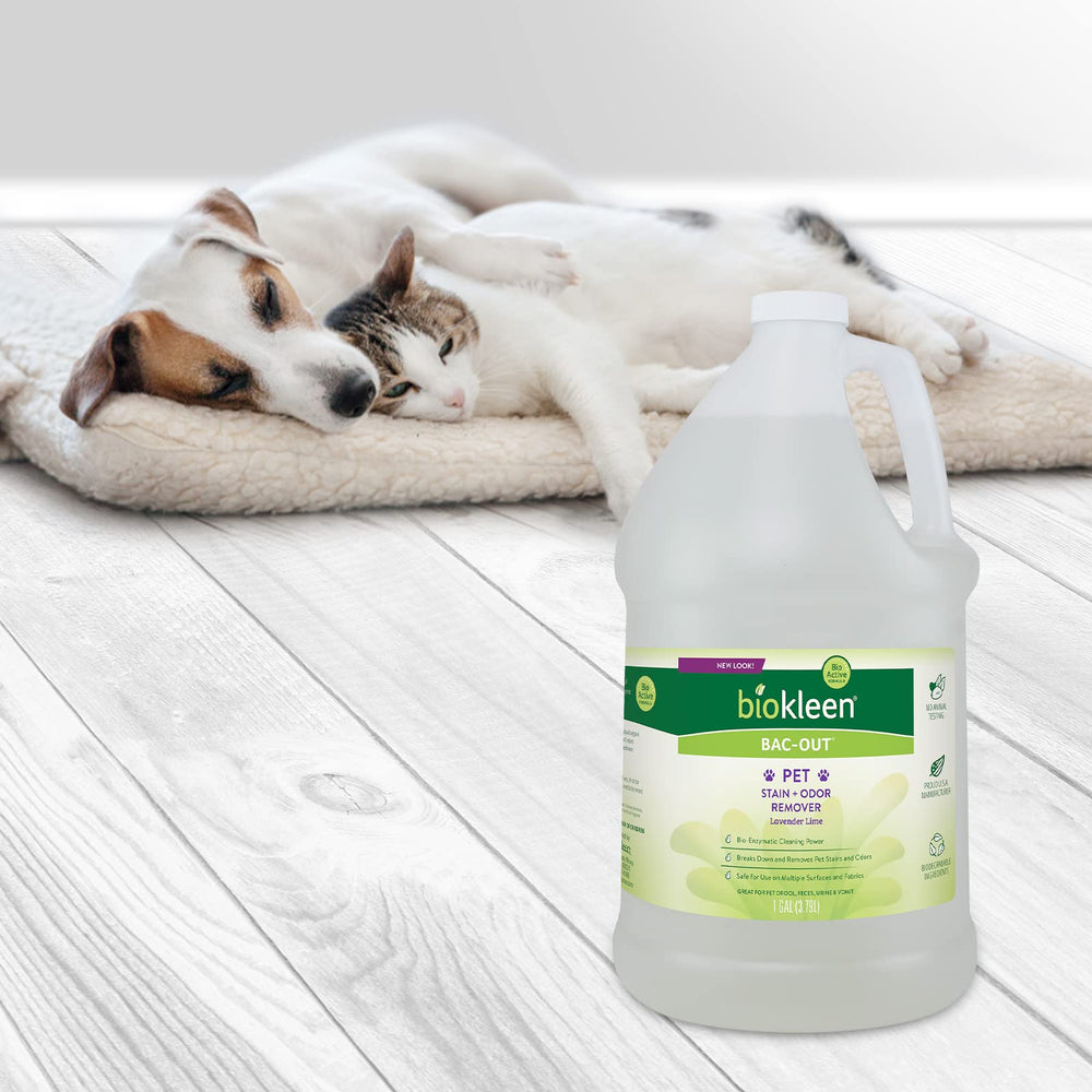 Biokleen Bac-Out lavender lime scent evokes fresh laundry and calm rooms