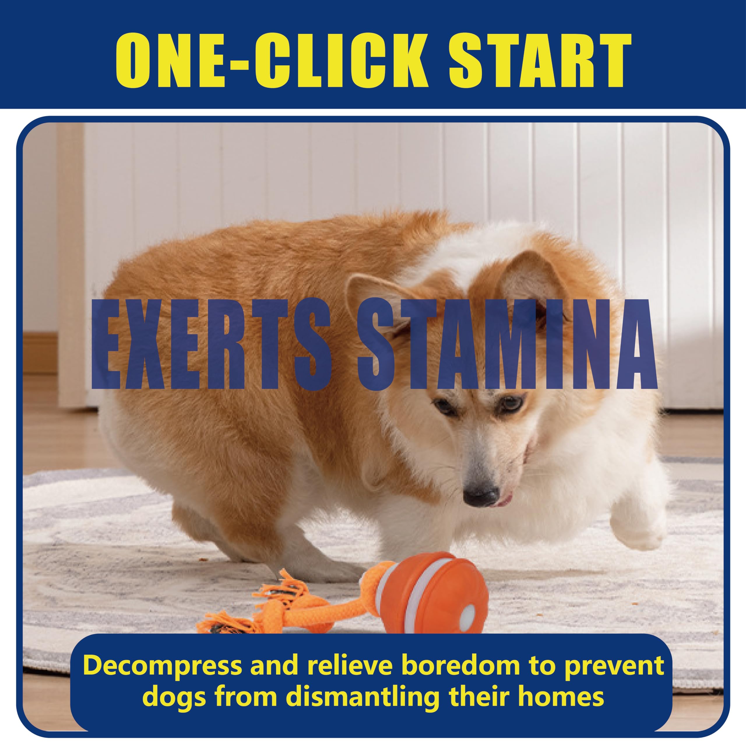BIONEMAGILI self-rolling dog ball blue TPR shell closeup emphasizes chew-resistance and durability