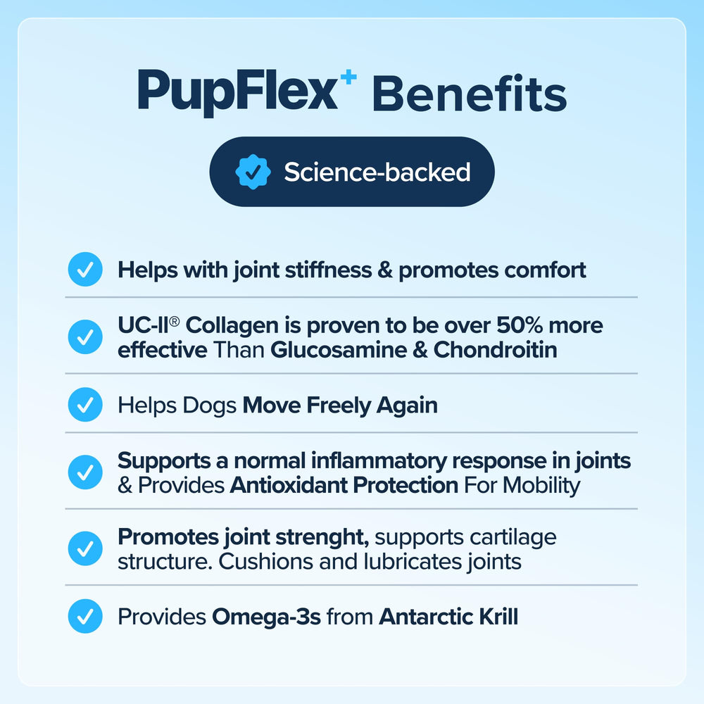 BioPup PupFlex CurcuVET and AprèsFlex visuals show anti-inflammatory joint support