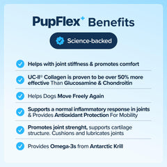 BioPup PupFlex CurcuVET and AprèsFlex visuals show anti-inflammatory joint support