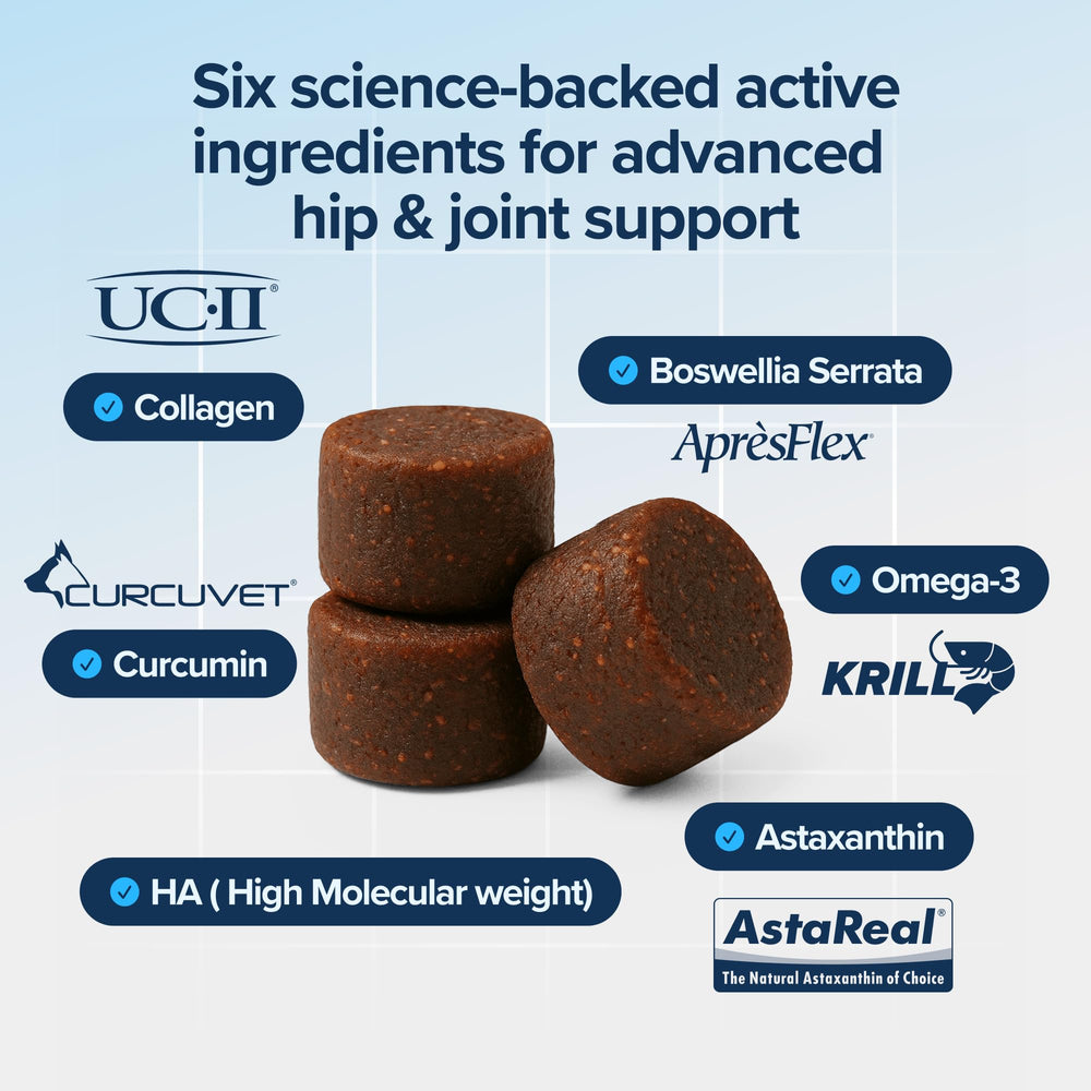 BioPup PupFlex Hyaluronic Acid closeup emphasizes joint lubrication for smoother movement