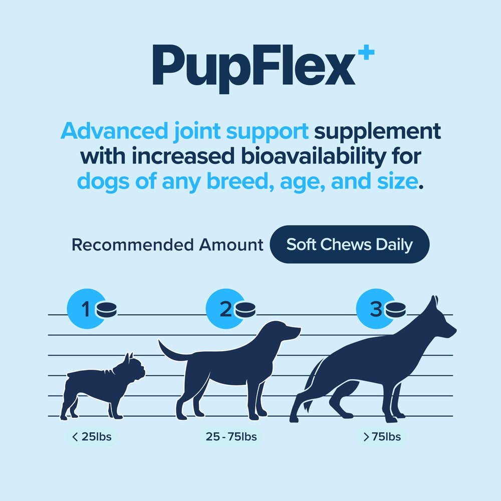 BioPup PupFlex senior dog play scene suggests ongoing mobility and activity