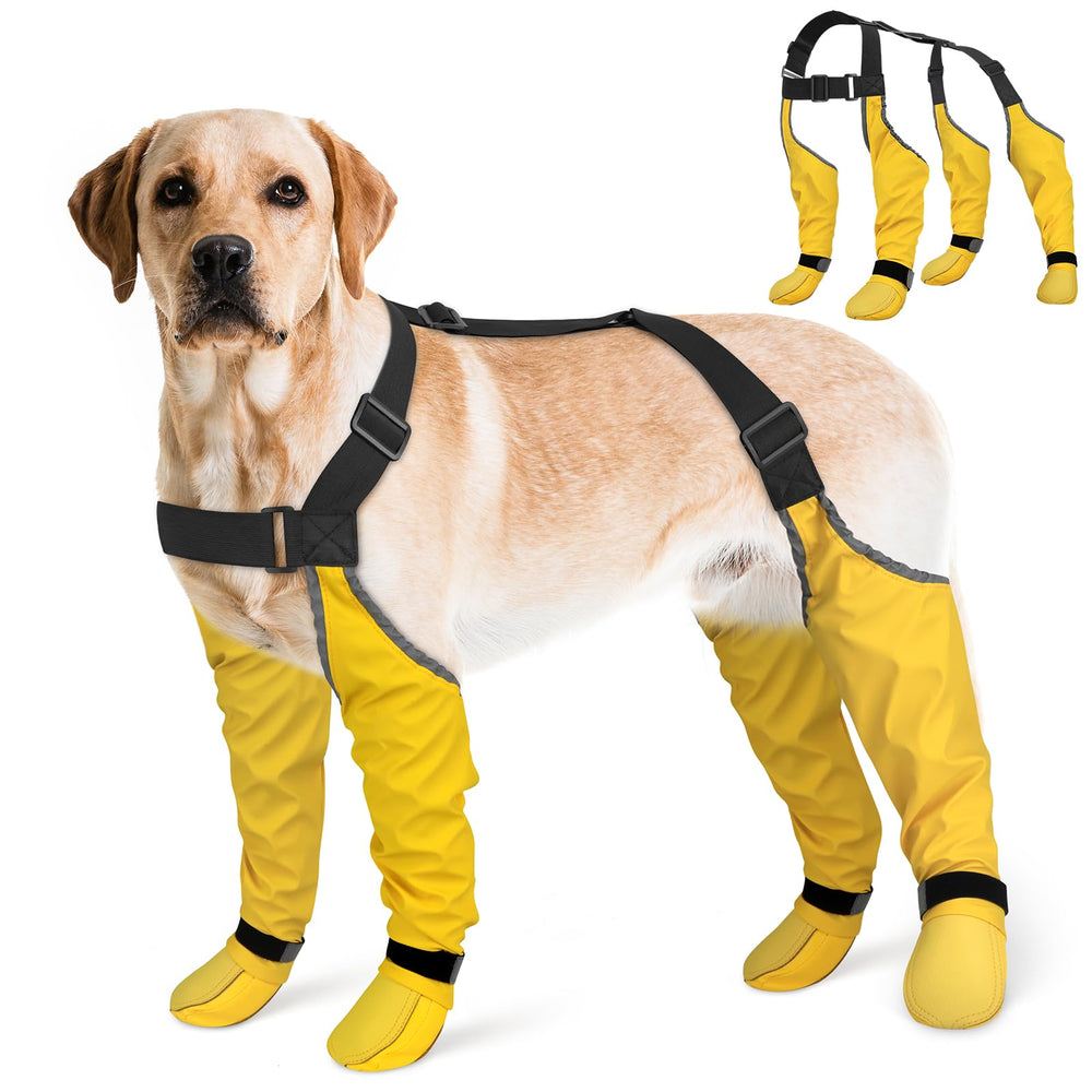BiPawTi dog suspender boots assembly demonstrates secure four-leg suspender system to prevent boot loss.