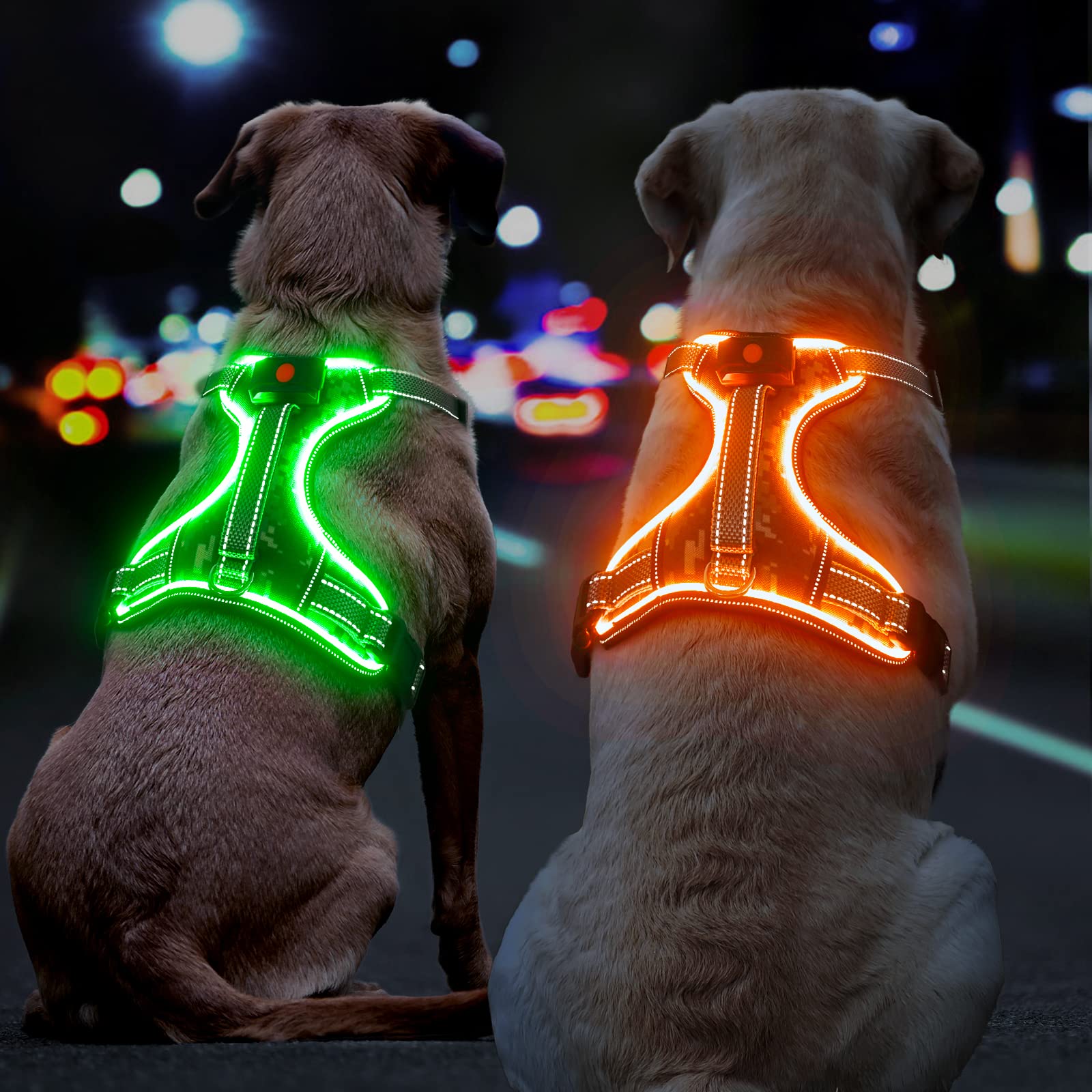BiPawTi light up dog harness back view with 360° reflectivity for all-angle visibility