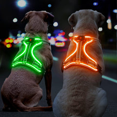 BiPawTi light up dog harness back view with 360° reflectivity for all-angle visibility
