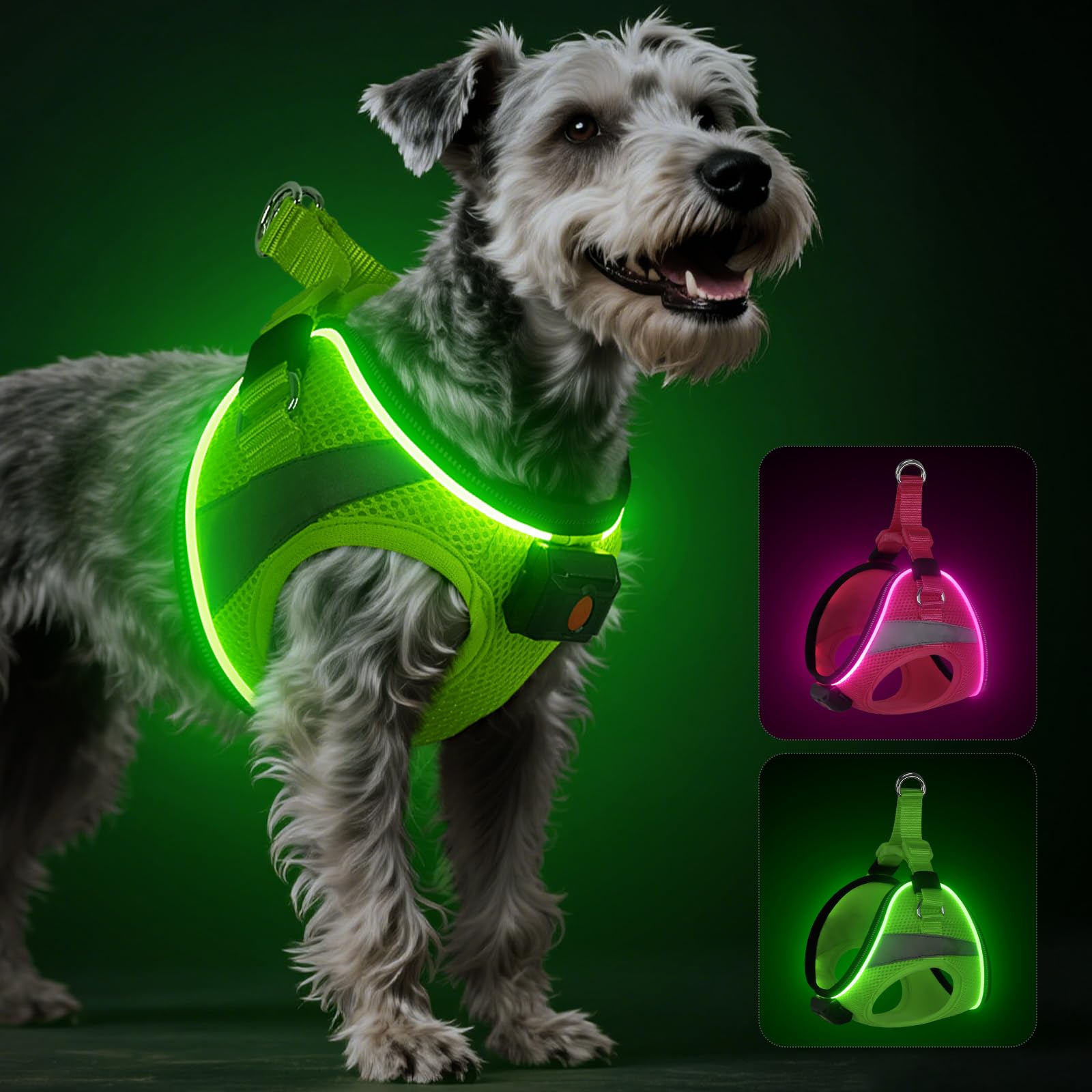 BiPawTi light-up harness glows for safer night walks