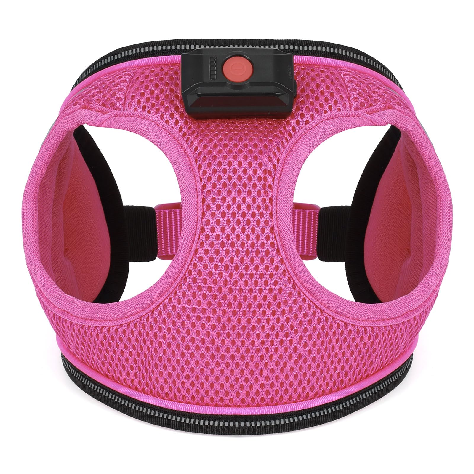 BiPawTi light-up harness used at night for camping and events
