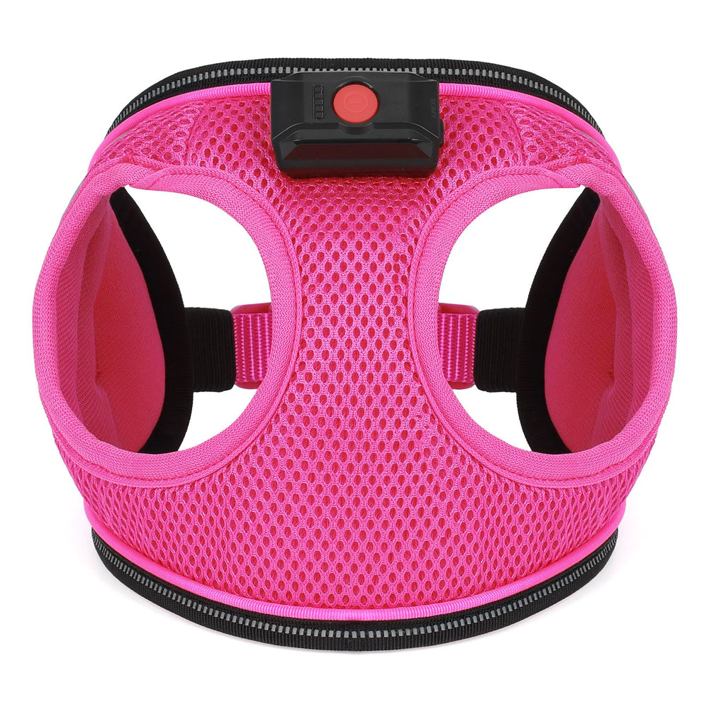 BiPawTi light-up harness used at night for camping and events