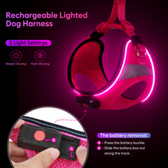 BiPawTi rechargeable battery pack provides up to 12 hours of glow