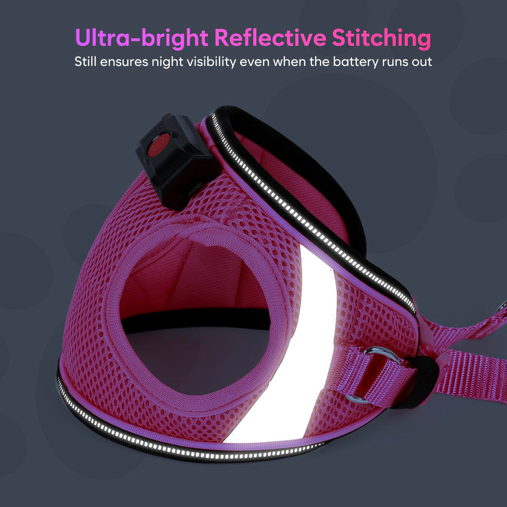 BiPawTi reflective strips on harness shine under headlights for nocturnal safety