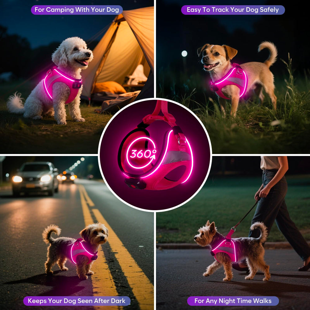 BiPawTi light-up harness side view with adjustable fit for growing pets