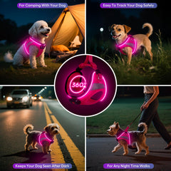 BiPawTi light-up harness side view with adjustable fit for growing pets