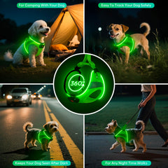 BiPawTi light-up dog harness side-wear shows secure, adjustable fit.